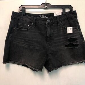 Time and Tru high rise shorts size 10